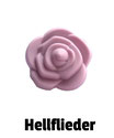 Rose hellflieder