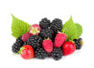 Frutti di Bosco 750ml