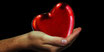 (MSC-1/27) MSC-Kurs Mo 18:15-20:30 ab 11.01.27 bis 15.03.27
