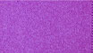 Satinband Purple M20054