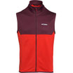 Atomic Alps Vest