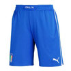 Italien Short von Puma  74429801