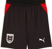 Puma ÖFB Short zum neuen Trikot, Kinder