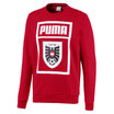 Puma ÖFB - DNA Sweater