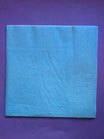 PACK 20 SERVILLETAS AZULES