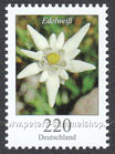 D-2530 - Blumen - Edelweiß - 220