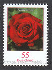 D-2669 - Blumen-Gartenrose - 55