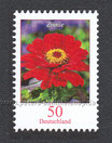 D-3535 - Blumen: Zinnie -50