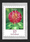 D-3663 - Blumen: Rotklee - selbstklebend - 37