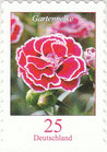 D-2699 - Blumen-Gartennelke - selbstklebend - 25