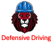 2 Hour Defensive Driving/ Driving Safety Video Series