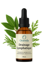 Oraveda _ Drainage