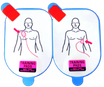 DDP-105TR Piastre training adulto (5 pz.)