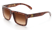 Vise Tortoise/ Brown Polarized