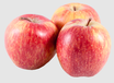 POMMES GALA BIO PRODUCTEUR 64