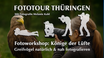 Fotoworkshop: Könige der Lüfte