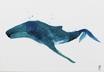 Lámina "BALLENA"