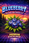 Blueberry
