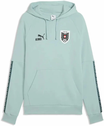 Puma ÖFB Hoodie King