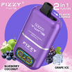 Fizzy Twins Blueberry Coconut & Grape Ice OCS便 海外発送