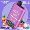 Fizzy Twins Pineapple Peach Passion Fruit & Blueberry Raspberry OCS便 海外発送