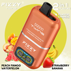 Fizzy Twins Peach Mango Watermelon & Strawberry Banana OCS便 海外発送