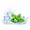 Vapor Rush クリーンメンソール 30ml 国際郵便