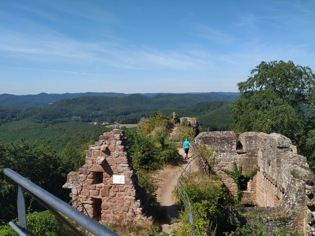 sur les hauteurs du Falkenstein : ma rando préférée, celle au départ de l'étang du HANAU qui passe par le WALDECK, le beau rocher du Erbsenfelsen puis par le falkenstein