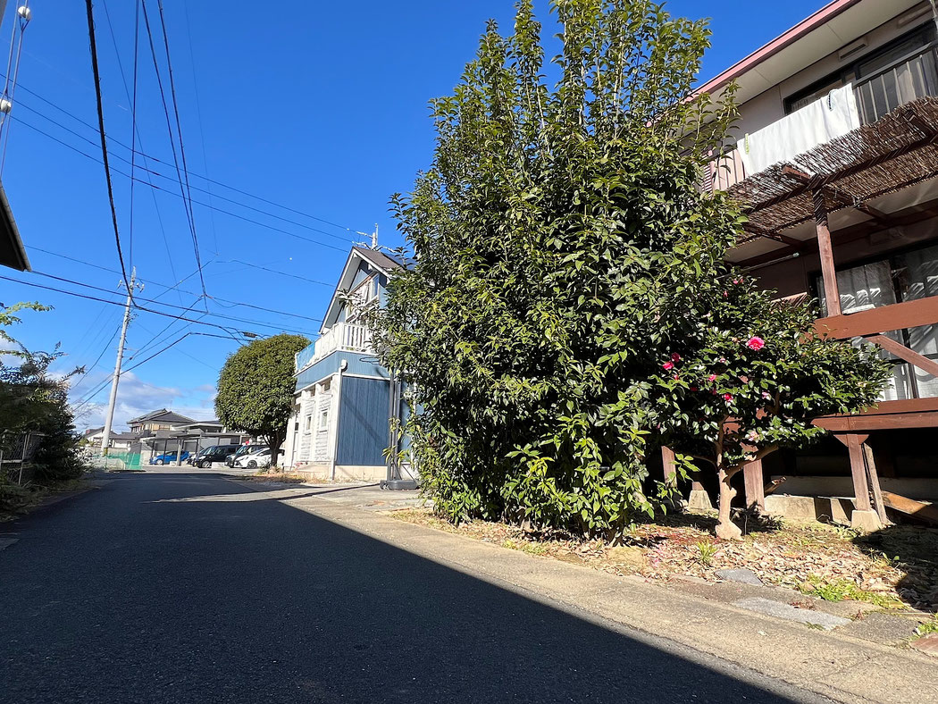 施工前(枝伐採前)