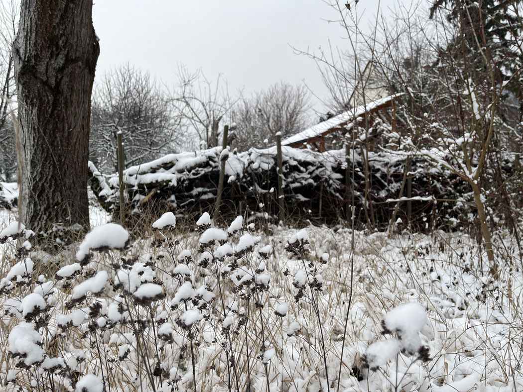 Schneefall in Dossenheim