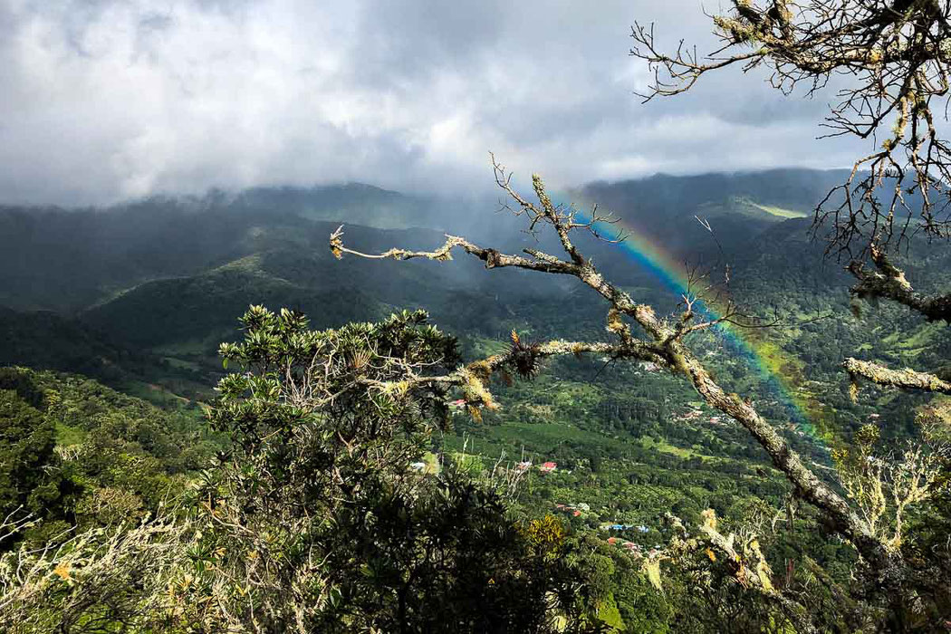 拉皮德拉德里诺茂密丛林的美景，包括彩虹。