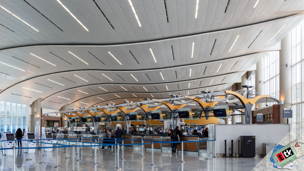 Como y porque viaja la gente