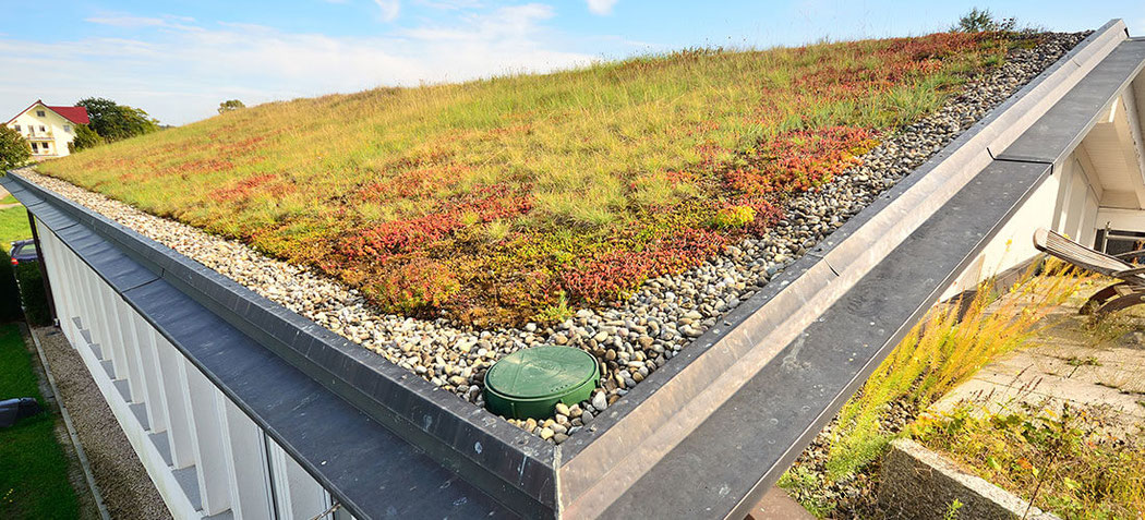Dachbegrünung - PAUL SAUM – Garten- und Landschaftsbau