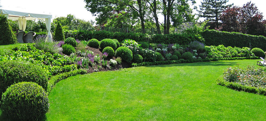 Dachbegrünung - PAUL SAUM – Garten- und Landschaftsbau