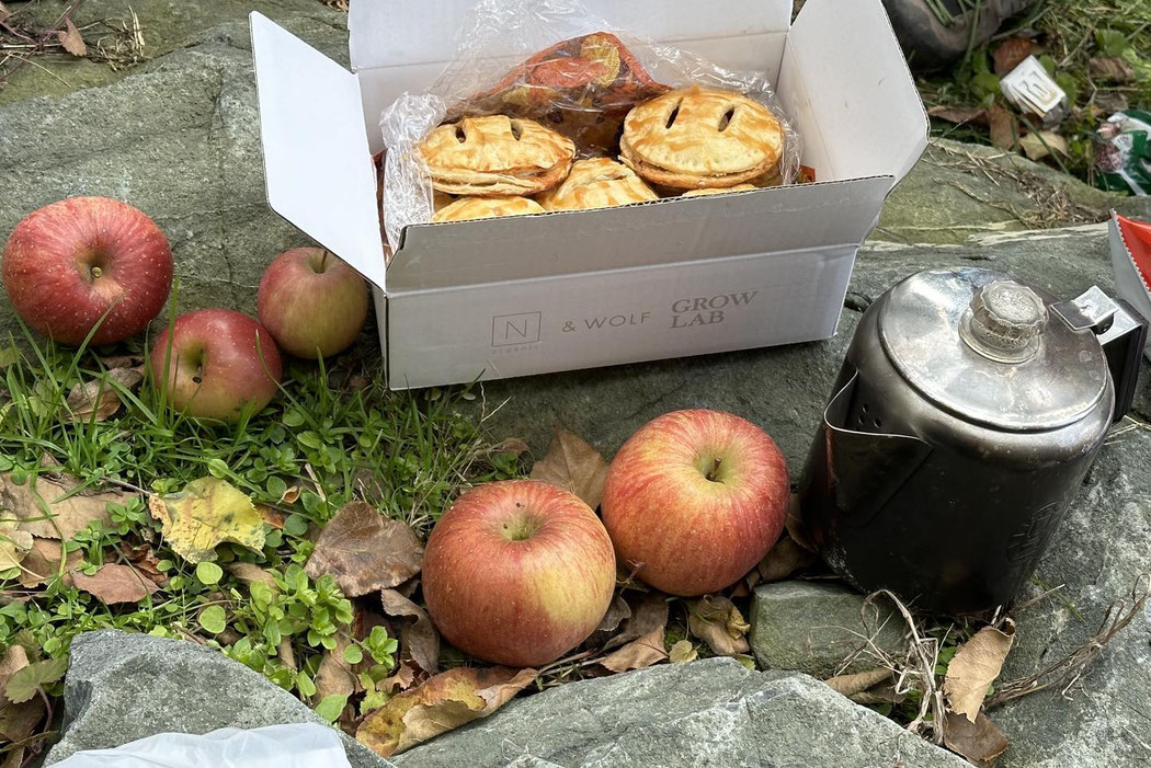 手作りのアップルパイと、採ったばかりの林檎