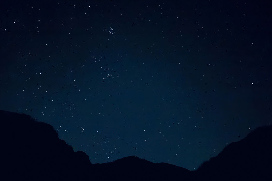 光源のない場所から見上げる満天の星空（新月の夜の森）