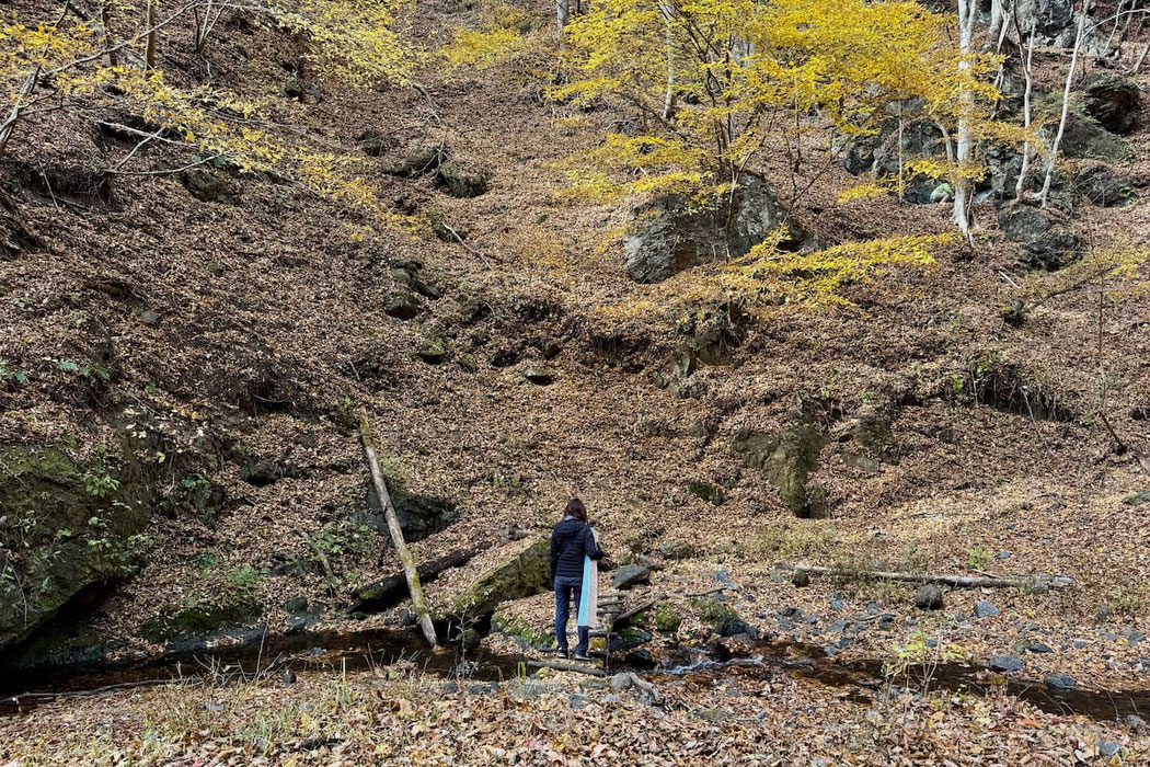 落ち葉の森をゆっくり歩きながら自分の感覚を確かめる森の一人時間