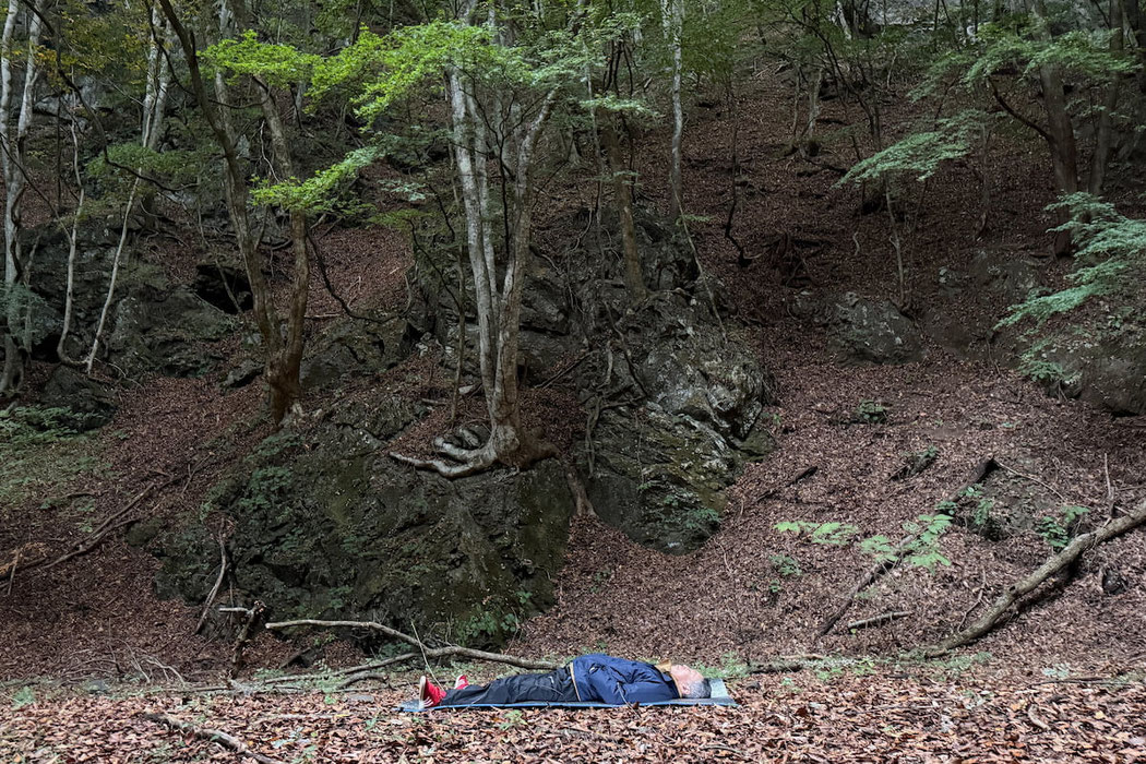 森で深く眠る男性。森の中で自分の今の状態が自然に表れる。