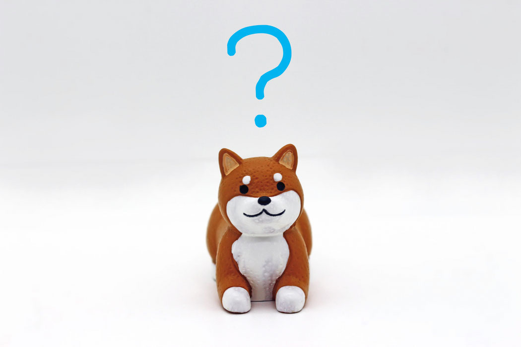 犬のドライヤー