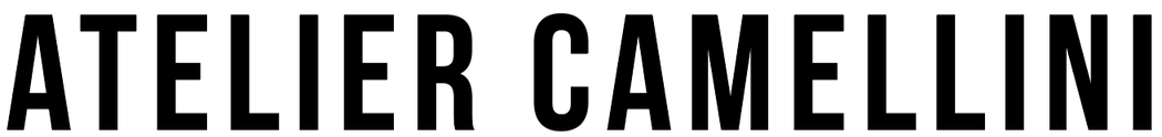 michaelcamellini.com