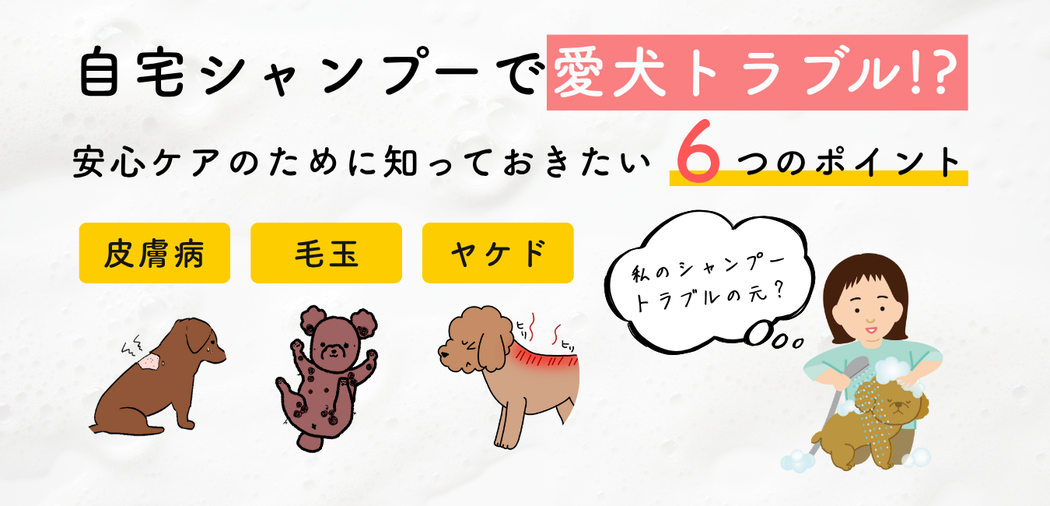 自宅シャンプーで愛犬トラブル!? 安心ケアのために知っておきたい6つのポイント