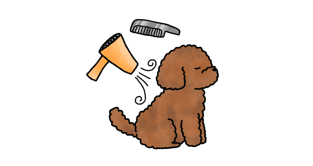 犬のドライヤー