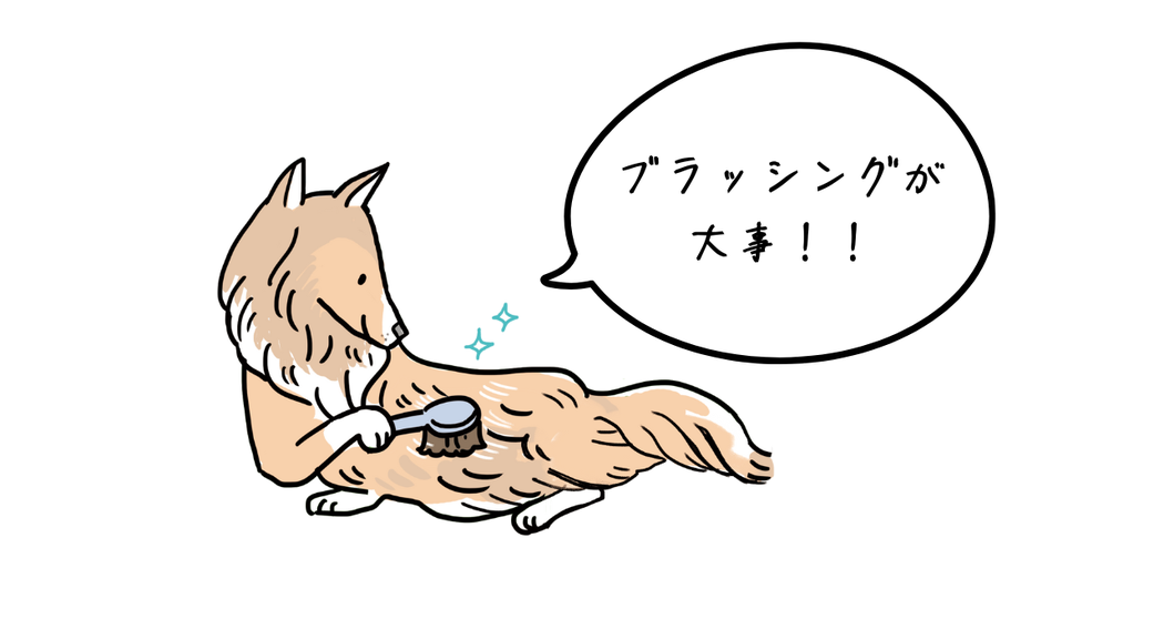 犬のブラッシング