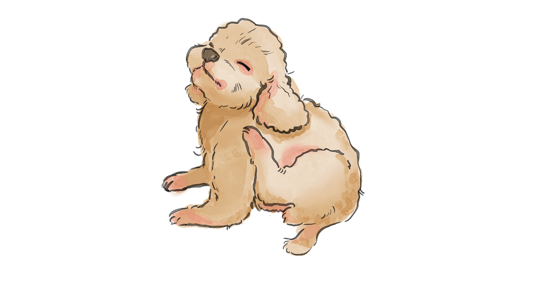 犬の皮膚トラブル