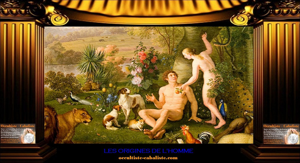 LES ORIGINES DE L'HOMME.