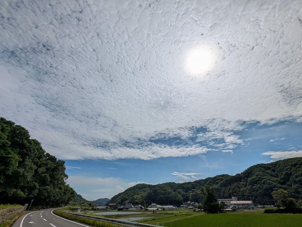 2025年6月15日（日）午後2時半過ぎ　森牧師が兼務する十文字平和教会近くの道と空と田植えが済んだ田んぼ