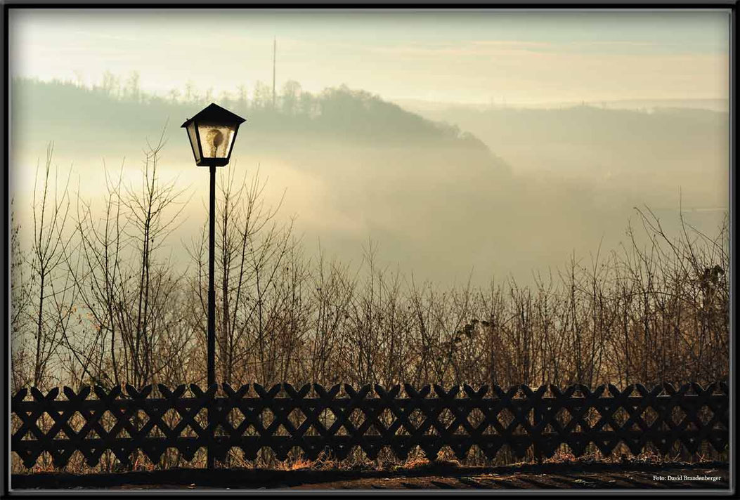 Bild:Foto,Laterne,Heidenheim,Zaun,Nebel,Busch,Himmel,Deutschland,David Brandenberger,d-t-b.ch,www.d-t-b.ch,Gewinner,Photokina,2012,Fine art print,