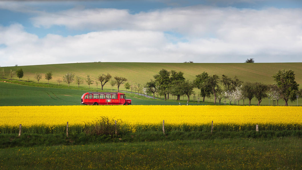 Der rote Bus im Rapsfeld durchquert im Frühjahr die Landschaft der sächsischen Schweiz (Landschaftsfotograf)