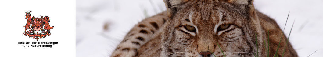 Referenzen | Institut für Tierökologie und Naturbildung