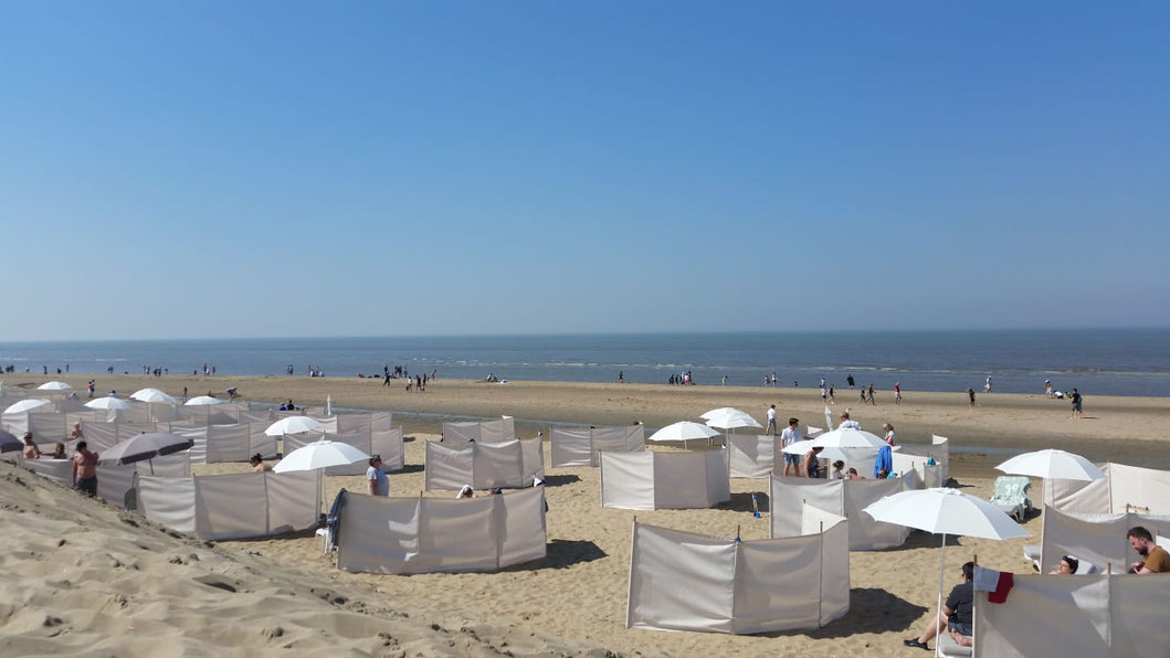 Am Strand von Noordwijk/Niederlande 2019